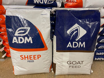 ADM Animal Nutrition: Sheep & Goat Feed