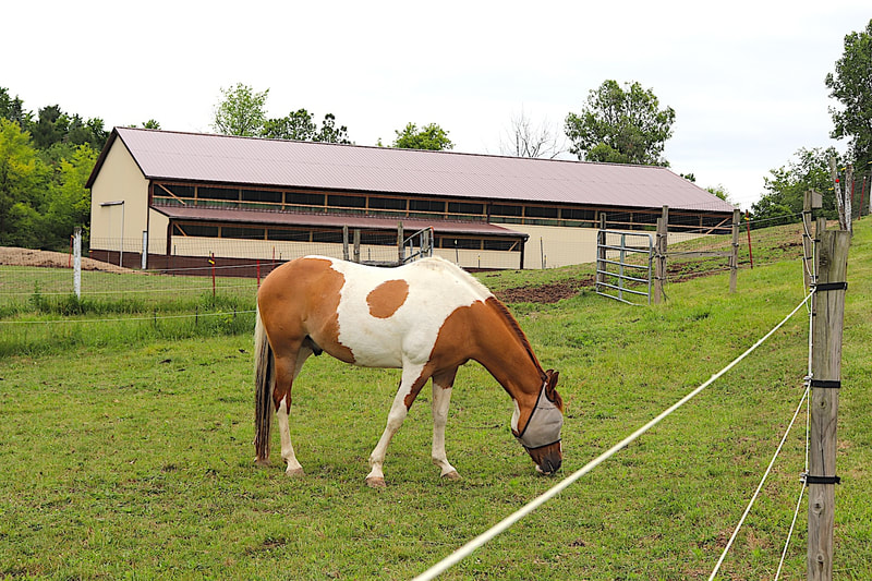 60'x120'x16' Riding Arena