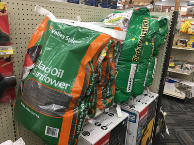 bird seed
