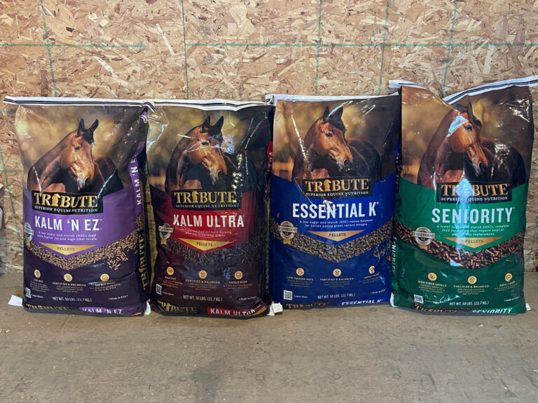 Clc bridgewater tribute horse feed orig