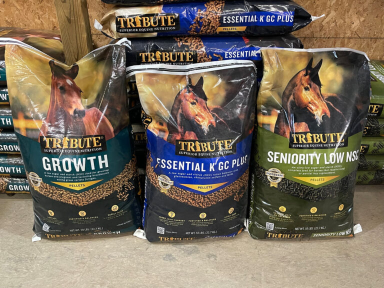 Clc bridgewater tribute horse pellet feed orig